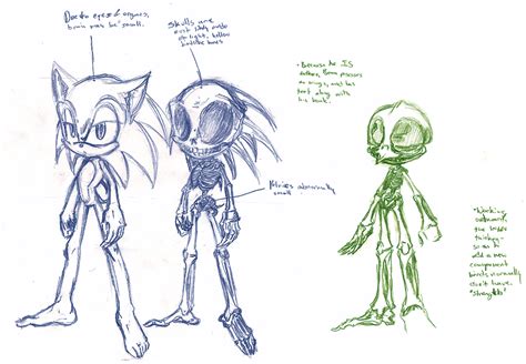 Sonic The Hedgehog Anatomy