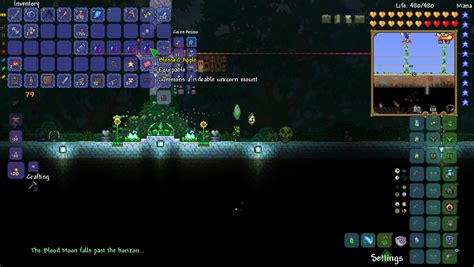 Just my luck while grinding for pixie dust : r/Terraria