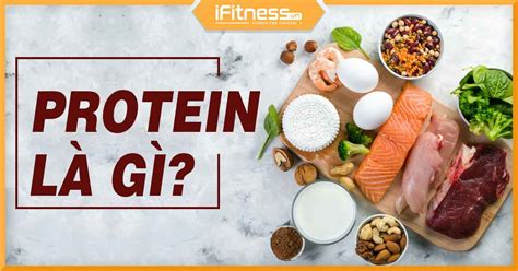 Top 9 ứng dụng của protein trong đời sống mới nhất năm 2022 Kiến Thức