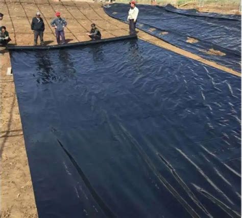 Hdpe Ldpe Lldpe Pvc Epdm Mm Dam Pond Liner Mm Mm Landfill