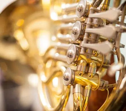 French Horn Pictures | Download Free Images on Unsplash