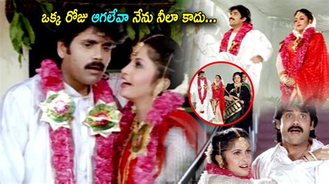 Nagarjuna And Ramya Krishnan S Hilarious Marriage Comedy Movie Scene Aamani Jayachitra