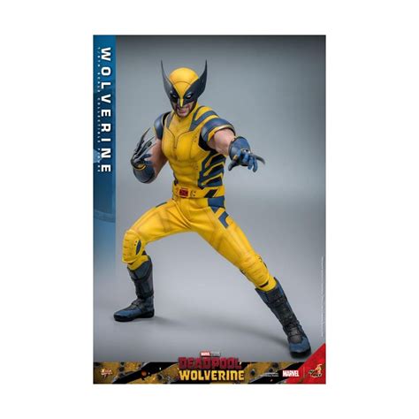 Hot Toys Movie Masterpiece Deadpool Wolverine Wolverine 1 6 Scale Collectible Figure Set