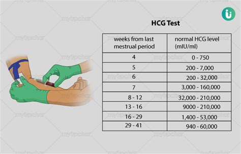 Beta HCG Test Procedure Purpose Results Normal Values Cost Price