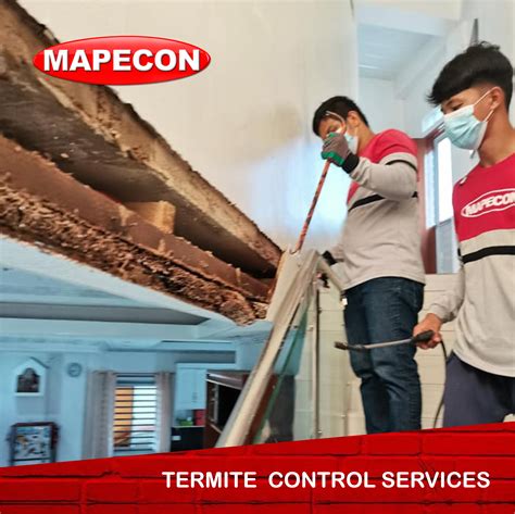 Termite Control - MAPECON