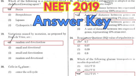 NEET 2019 Answer Key Biology Questions With Answers YouTube