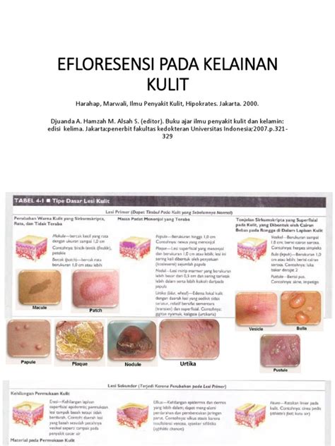 Efloresensi Pada Kelainan Kulit Pdf