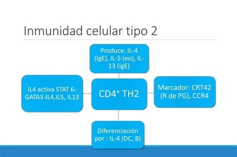 Tipos De Inmunidad Celular Ppt Descarga Gratuita