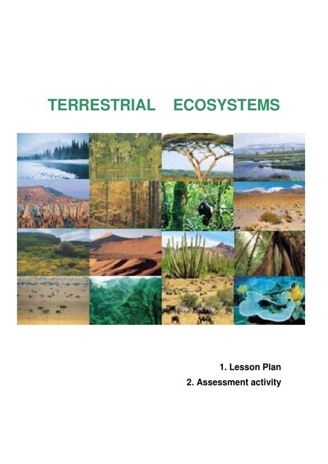 Terrestrial ecosystem lesson plan by Opendoorsproject - Issuu