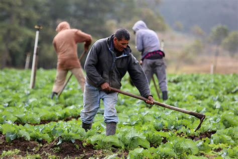 Pequeños y medianos productores generadores de la seguridad