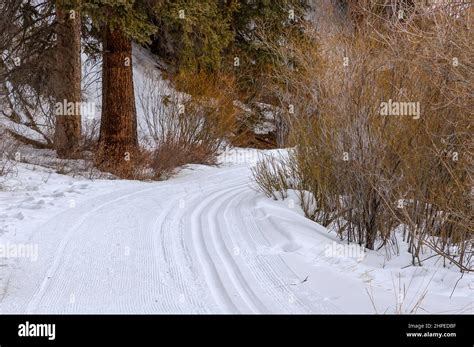 The Natural Beauty Of Winter In Fraser Colorado Fraser River Trail