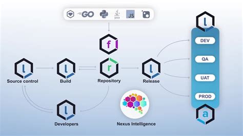 How The Nexus Platform Works Youtube