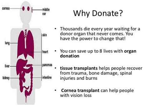 Why You Should Donate Organs