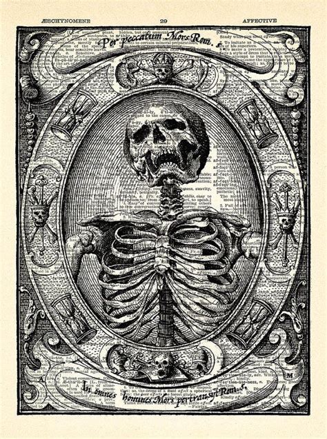 Skeleton Memento Mori Skull Art Print Skeleton Poster Art Etsy