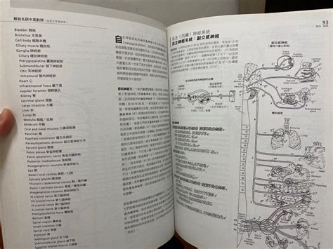 人體解剖著色學習手冊 書籍、休閒與玩具 書本及雜誌 教科書、參考書在旋轉拍賣