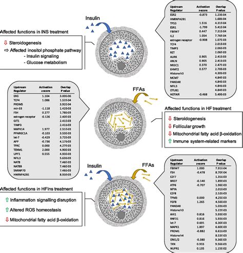 The most significant upstream regulators identified by IPA for each ...