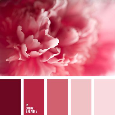 малиново-розовый цвет | IN COLOR BALANCE