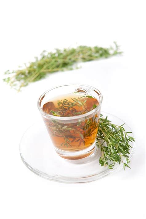 Thyme Tea On White Background Stock Photo Image Of Botany Background