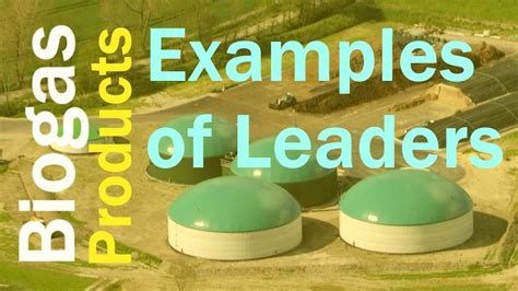 Biogas Products - Examples of Leaders in the AD Plant Service Industry