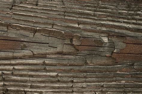 Textura de madeira velha preta e marrom escura tábua velha carbonizada