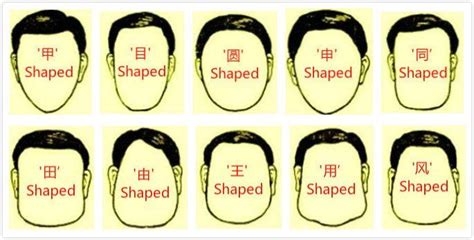 Face Reading Free Chinese Physiognomy Techniques To Know Personality Face Reading Chinese