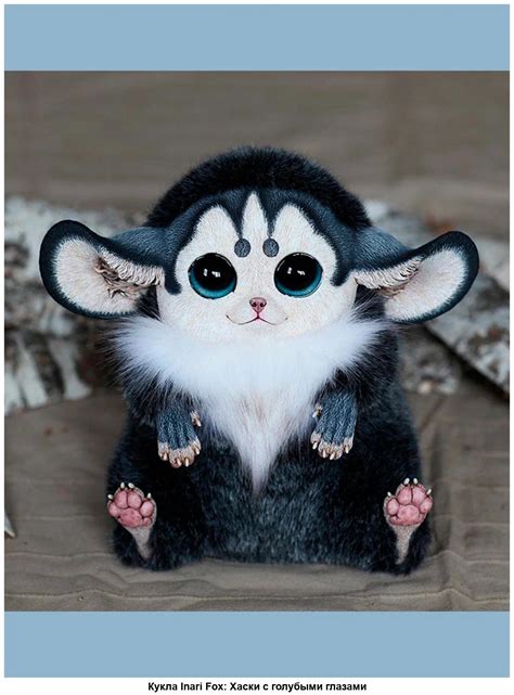 Глазоух Животное - 46 фото