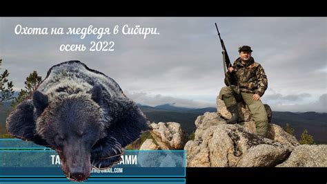 Охота на медведя в Сибири осенью. Ревем изюбря, добываем медведя. - YouTube