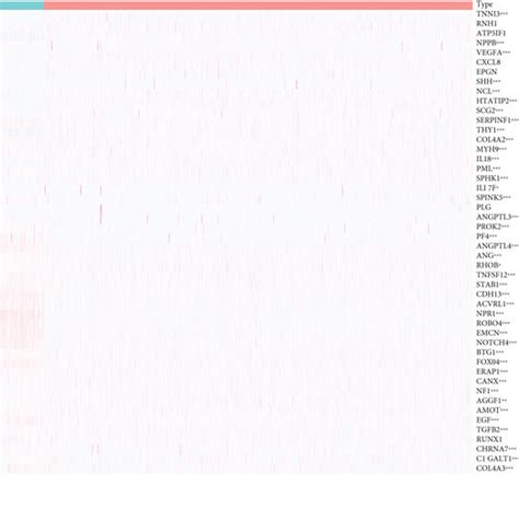 Use Angiogenesis Related Genes To Perform Cluster Analysis In Brca A