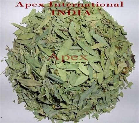 Green Dry Senna Leaves Packaging Size Kgs Kg Kg Kg