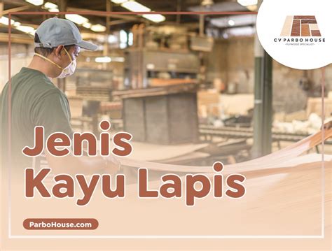 Jenis Kayu Lapis (Plywood) yang Tersedia di Pasaran » Parbo House