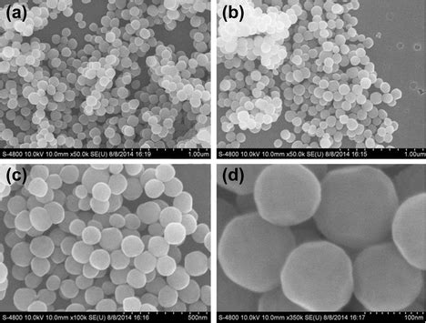 Representative SEM images of [C60(OH)22·8H2O]n (a) × 50,000 ...