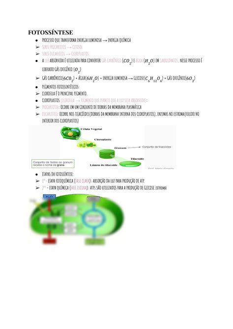 SOLUTION Resumo De Fotoss Ntese E Quimioss Ntese Studypool