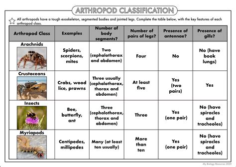 Gcse Biology Classification Worksheet Pack Teaching Resources