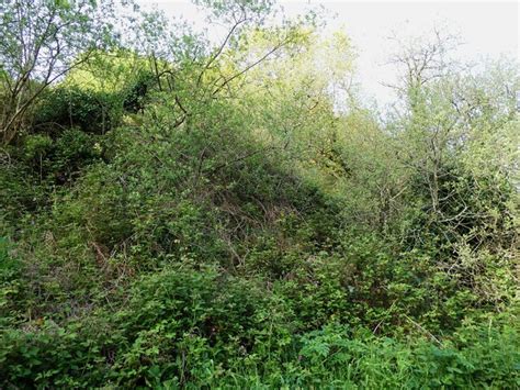 Site Of Disused Quarry Rob Farrow Cc By Sa Geograph Britain