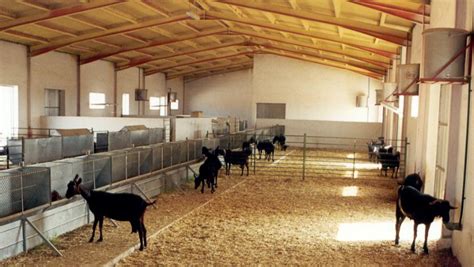 Gu A Completa Para Construir Instalaciones Para Cabras