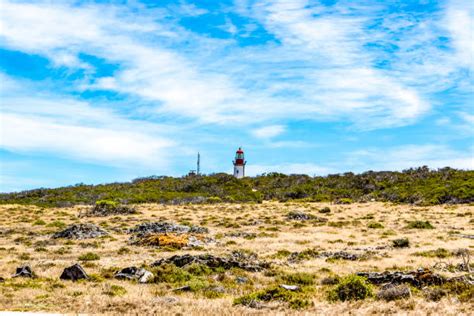 50+ Robben Island Lighthouse Stock Photos, Pictures & Royalty-Free Images - iStock