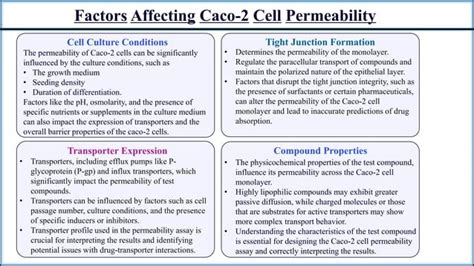 Cell Permeability Assays Caco Cell Permeability Pampa Membrane