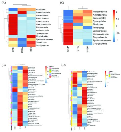 Heat Maps Showing The Microbiota Composition At The Phylum And Genus Download Scientific