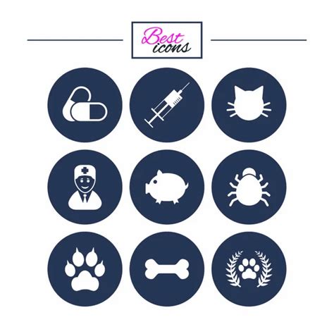 Veterinary Pets Icons Stock Vector Image By ©blankstock 131382306