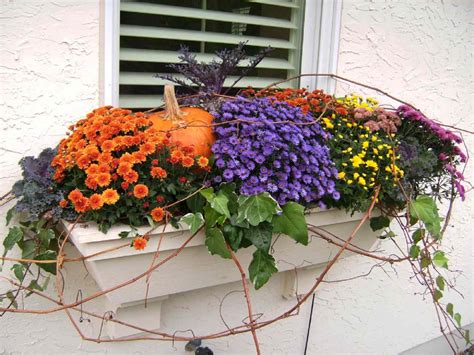 16 Fall Window Boxes To Create A Stunning Display