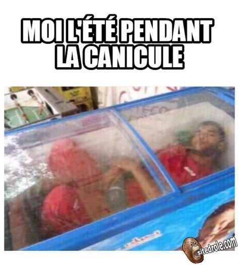 Pendant la canicule Humour drole Images super drôles Humour