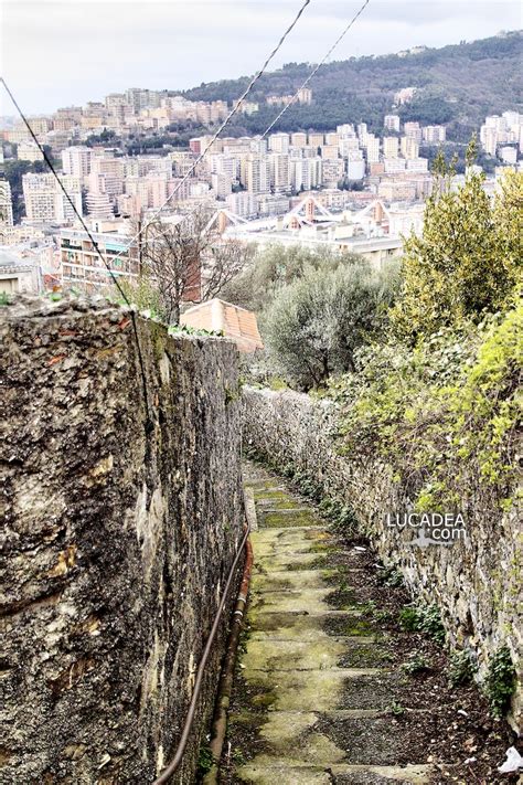 Lucadea Una Creuza Per Salita Dellorso A Genova