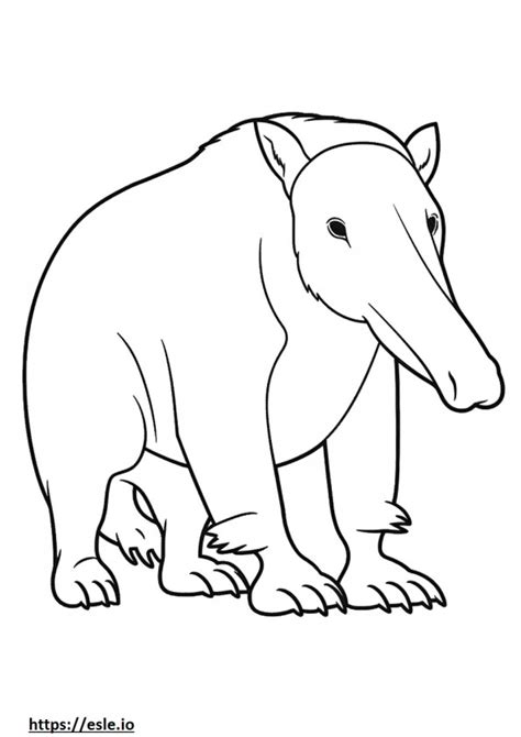 Anteater Coloring Pages Free Printable