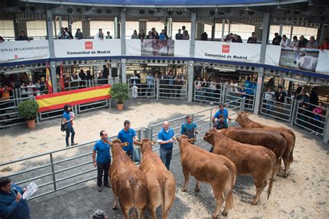 Más de un centenar de cabezas de ganado estarán en la 81ª Subasta