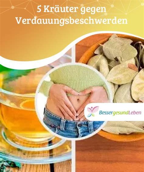 5 Kräuter gegen Verdauungsbeschwerden Besser Gesund Leben Besser