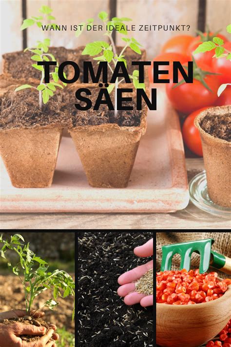 Pin Auf Tomaten Tipps