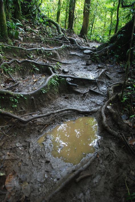 Tenorio Volcano National Park Map - Guanacaste, Costa Rica - Mapcarta