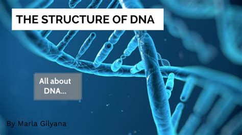 The Structure Of Dna By Marla Gilyana On Prezi