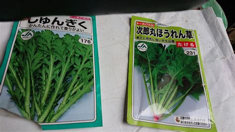 ほうれん草次郎丸まく ほっこり君のほっこり農園へ 楽天ブログ