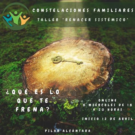 Taller Constelaciones Familiares Pilar Alc Ntara